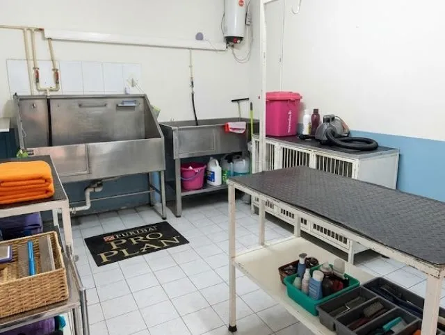 Instalaciones de sala de estética canina en Pet Zoone Puebla