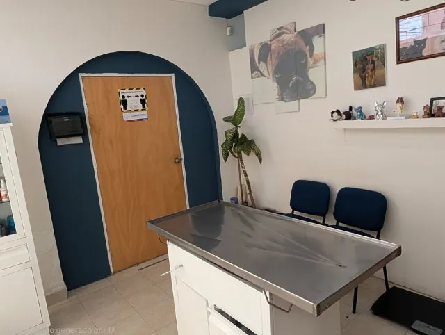 Consultorio médico veterinario en Puebla cómodo e higiénico
