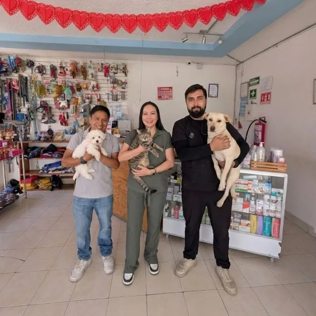 Cuidado veterinario con corazón y trato cálido en Puebla