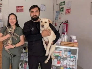 Médicos veterinarios de Pet Zoone con pacientes en la recepción de la clínica en Puebla