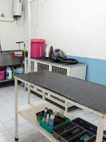 Área de estética canina de Pet Zoone Centro Veterinario en Puebla