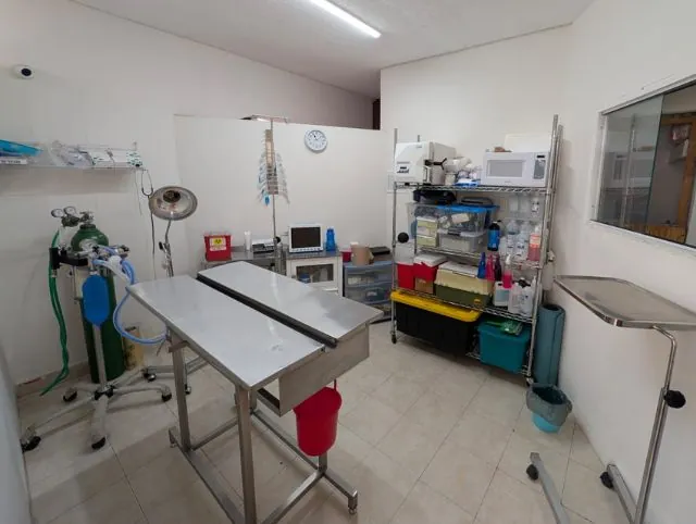Equipamiento de quirófano de cirugía veterinaria en Pet Zoone Puebla