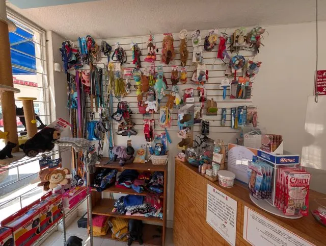 Recepción de clínica veterinaria Pet Zoone en Puebla